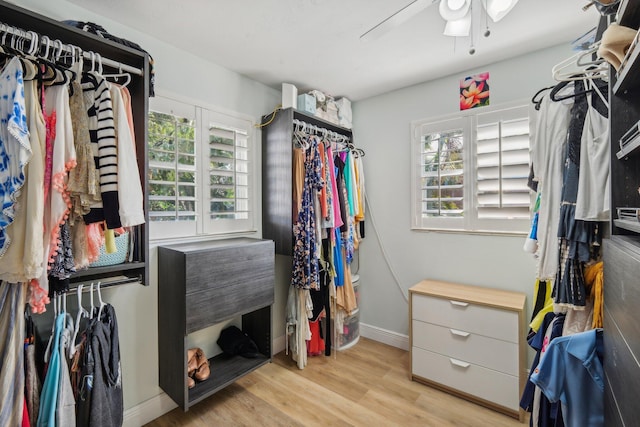 spacious closet featuring light hardwood / wood-style flooring and ceiling fan