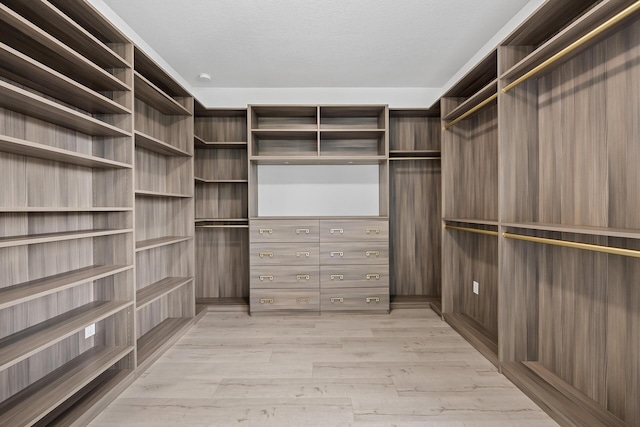 spacious closet featuring light hardwood / wood-style floors