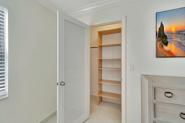 view of closet