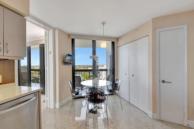 dining room featuring a wall of windows and plenty of natural light