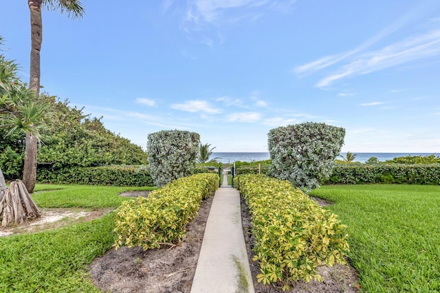 view of yard with a water view