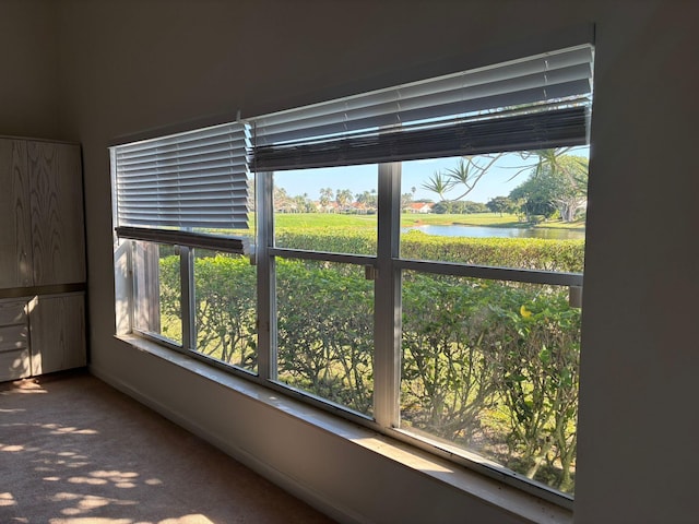 room details with carpet flooring and a water view