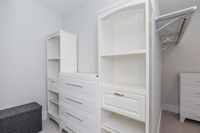 spacious closet with light carpet