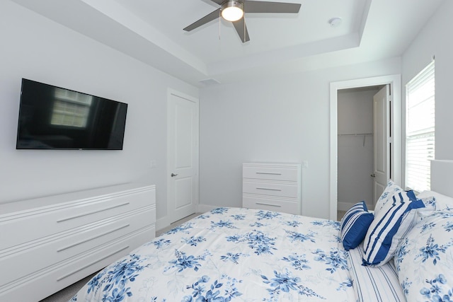 bedroom featuring ceiling fan, a tray ceiling, a closet, and a spacious closet