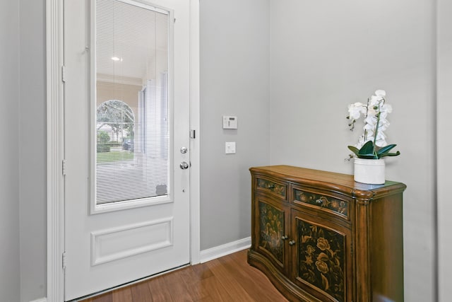 entryway featuring hardwood / wood-style floors