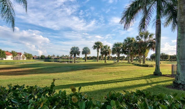 view of property's community featuring a lawn