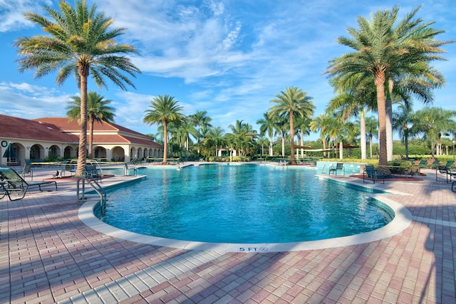 view of pool featuring a patio