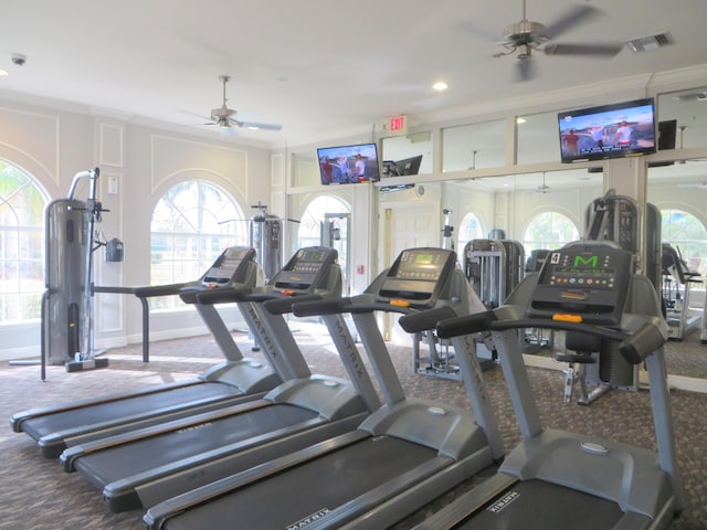 exercise room featuring carpet flooring, a wealth of natural light, and ceiling fan