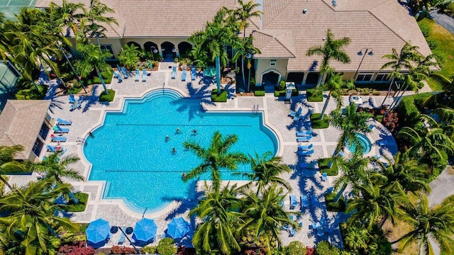 view of swimming pool with a patio