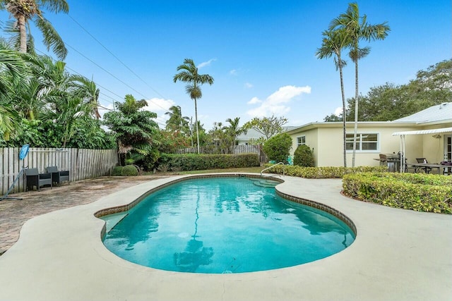 view of pool featuring a patio