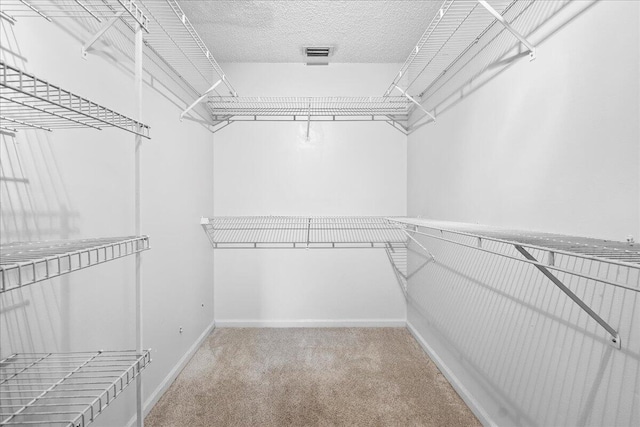 spacious closet featuring carpet floors