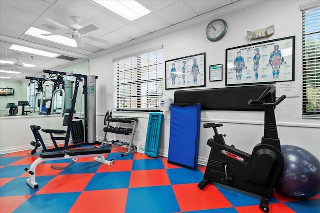 workout area featuring a drop ceiling, ceiling fan, and crown molding