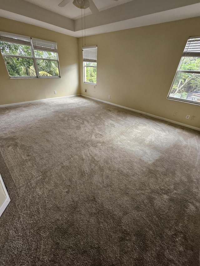 unfurnished room featuring carpet flooring, ceiling fan, and a tray ceiling