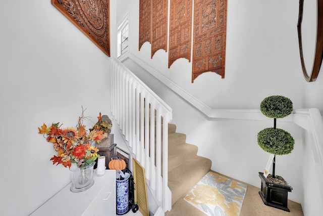 5258 Europa Dr Unit H, Boynton Beach, FL 33437 - staircase featuring carpet and ornamental molding