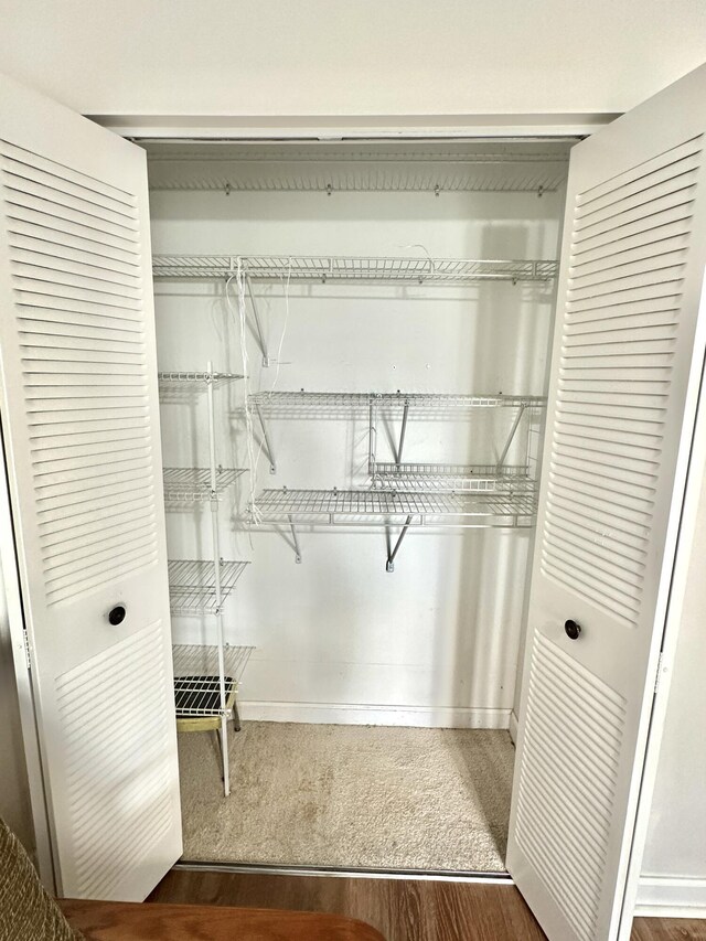 view of closet