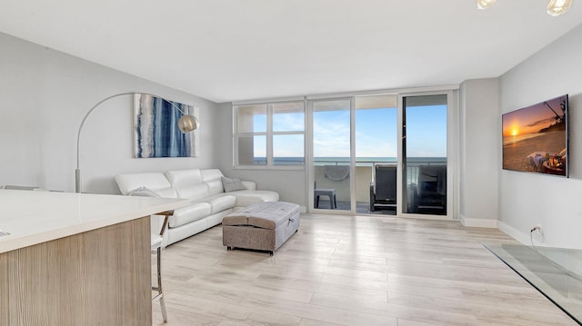 living room featuring light hardwood / wood-style floors