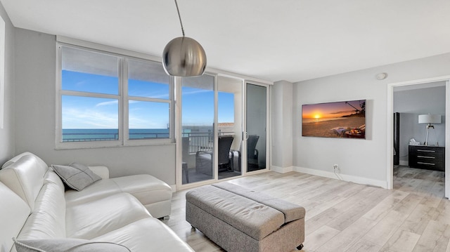 living room featuring light wood-type flooring