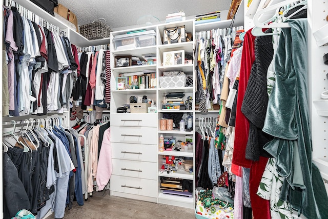 walk in closet with dark hardwood / wood-style floors