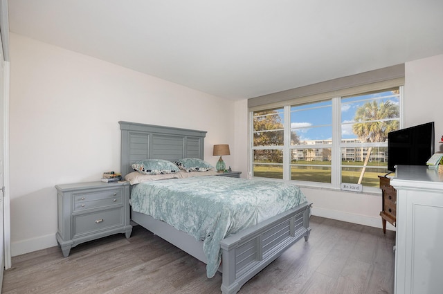 bedroom featuring wood-type flooring