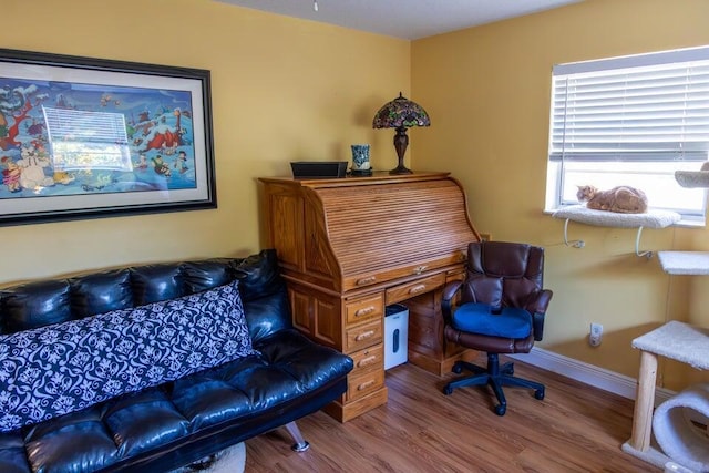 office with wood-type flooring