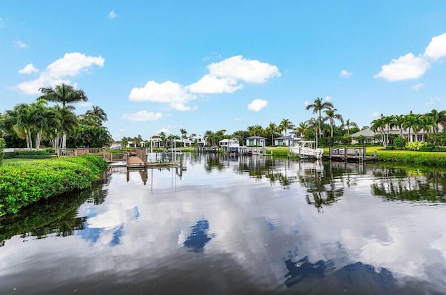 water view with a dock