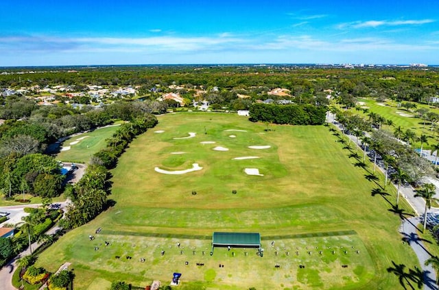 bird's eye view