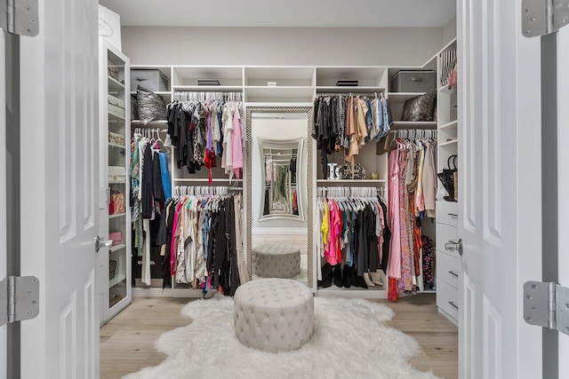 walk in closet with light hardwood / wood-style flooring