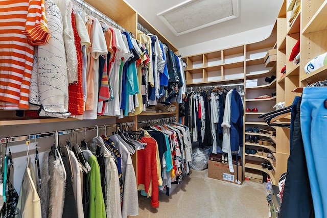 spacious closet with carpet floors