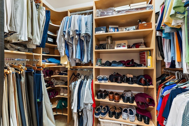 spacious closet with carpet