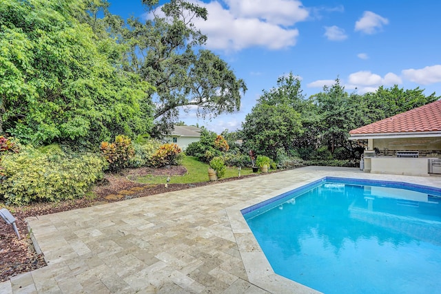 view of swimming pool featuring a patio and an outdoor kitchen