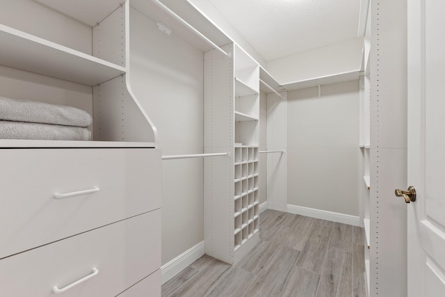 walk in closet with light wood-type flooring