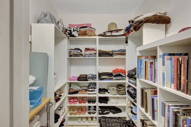 view of walk in closet