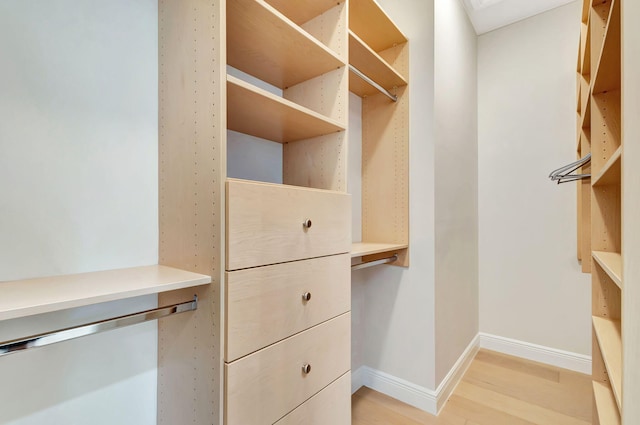 walk in closet with light hardwood / wood-style flooring