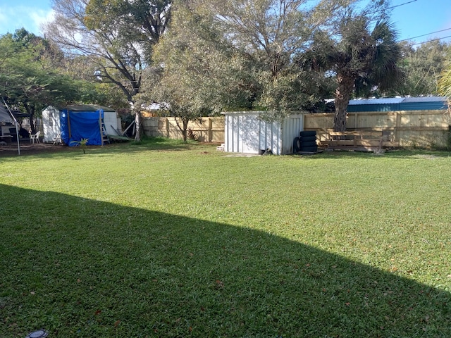 view of yard featuring a storage shed