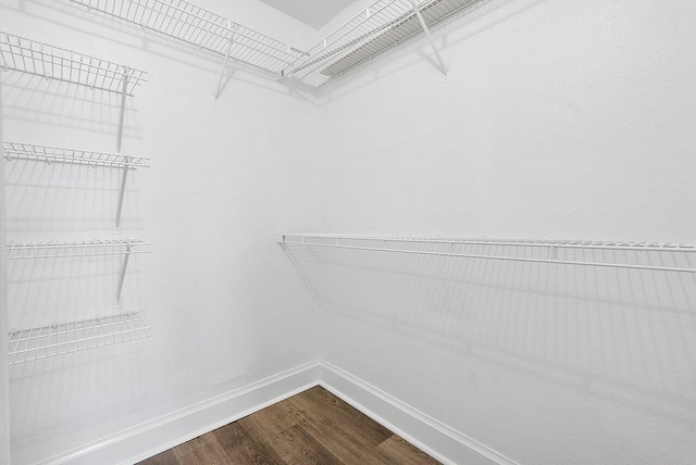 walk in closet with wood-type flooring