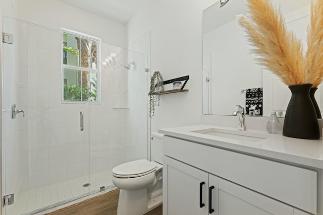 bathroom featuring vanity, toilet, and a shower with door