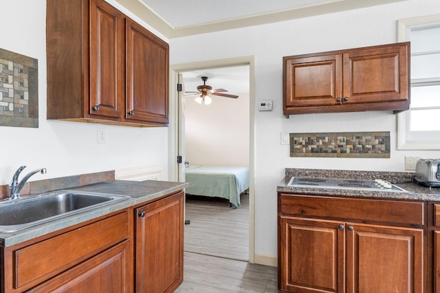 kitchen with cooktop, ceiling fan, sink, and light wood-type flooring