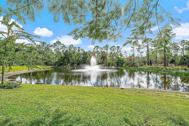 property view of water