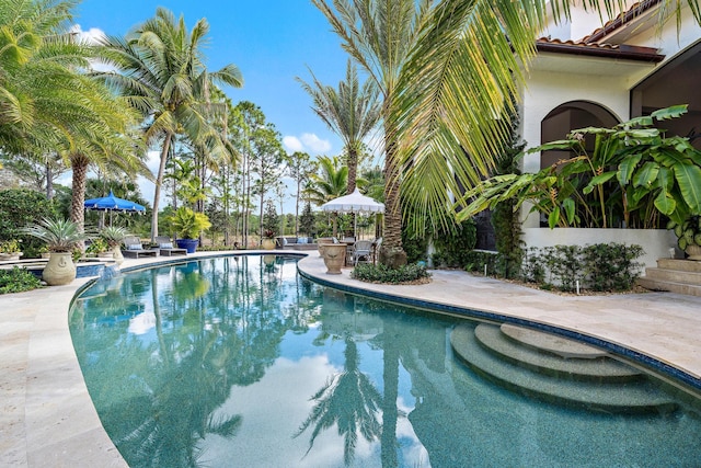 view of pool with a patio area