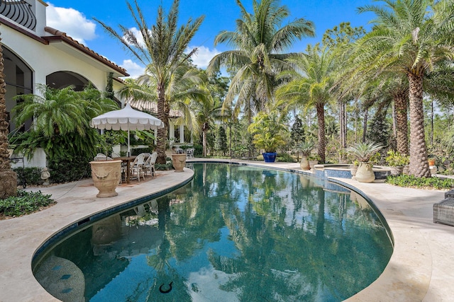 view of swimming pool featuring a patio