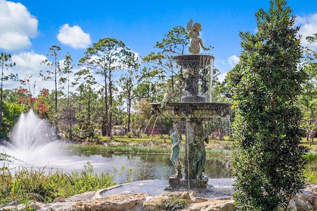 view of community featuring a water view