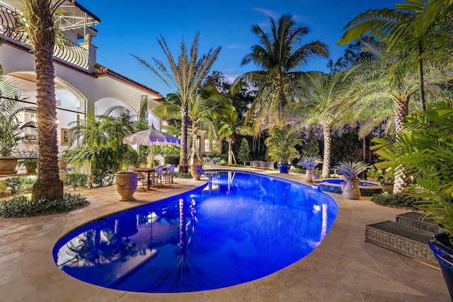 view of pool with a patio