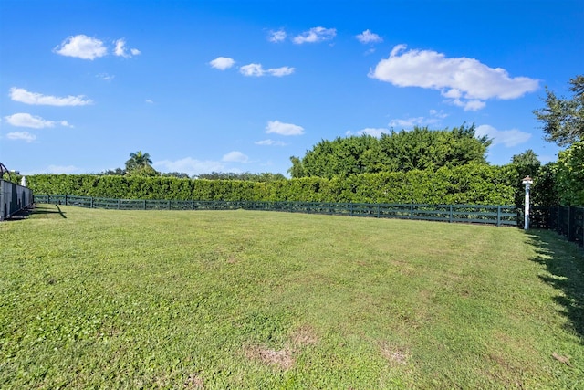 view of yard featuring a rural view