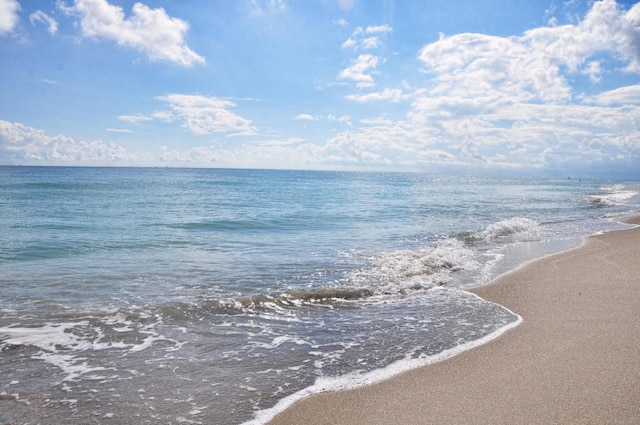 water view featuring a beach view