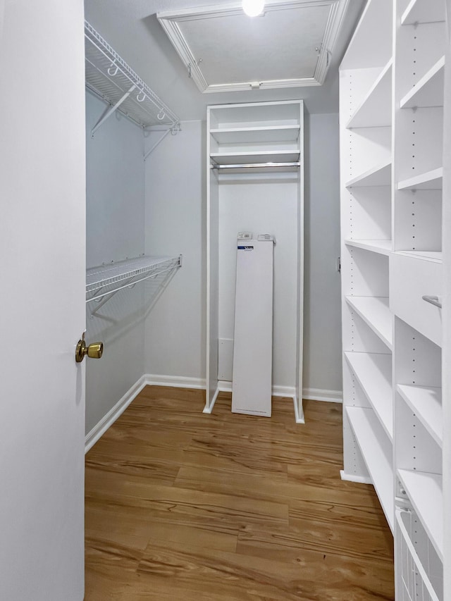 walk in closet with hardwood / wood-style flooring