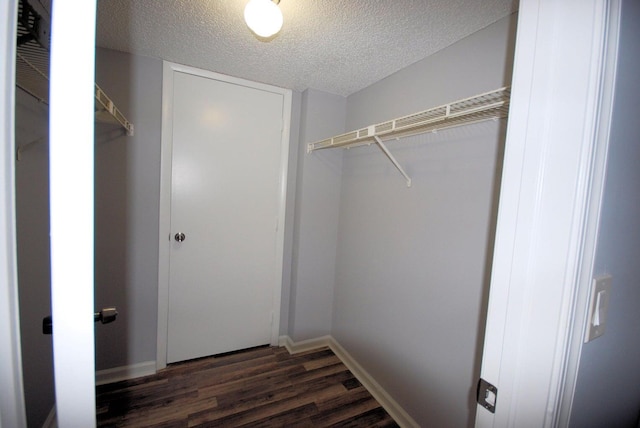 spacious closet featuring dark hardwood / wood-style flooring