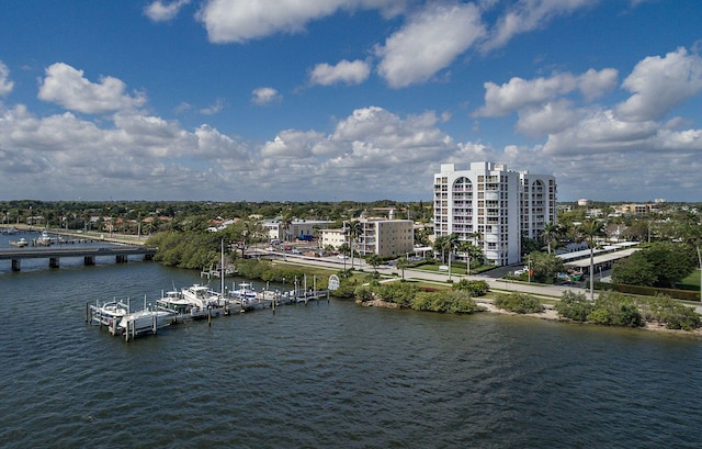 water view featuring a dock