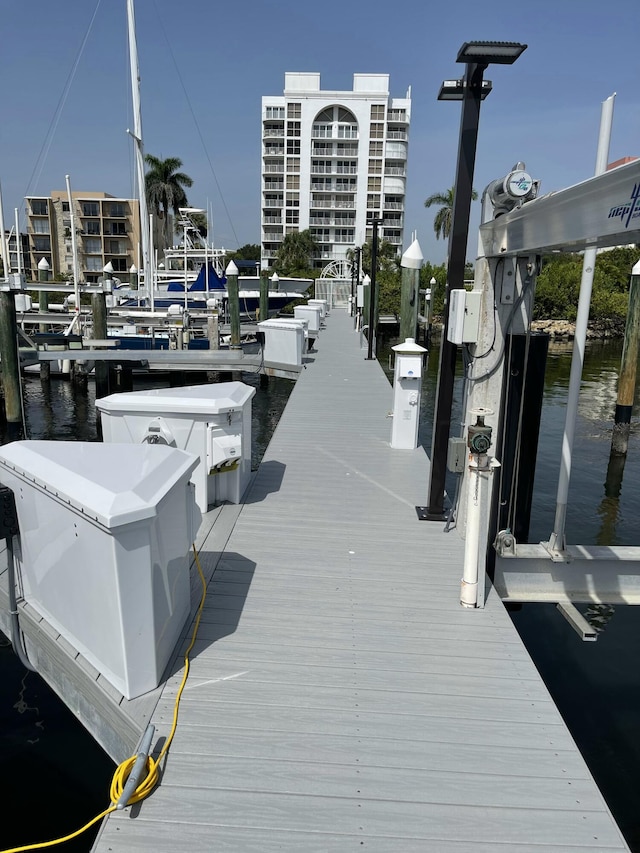 dock area with a water view