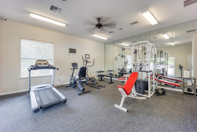 exercise room featuring carpet flooring, ceiling fan, and plenty of natural light