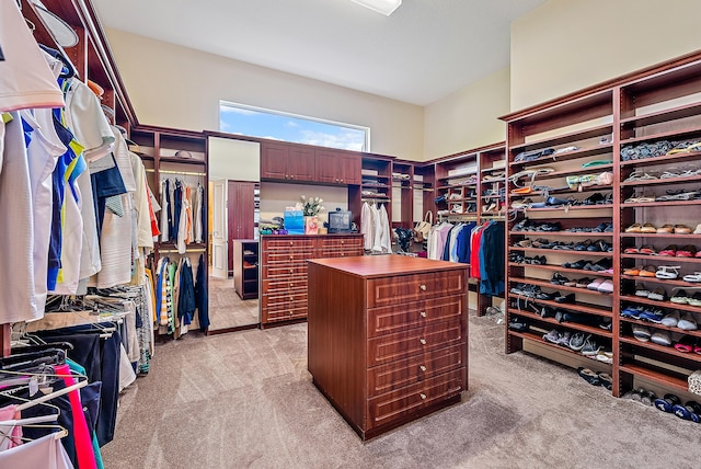 spacious closet with light colored carpet